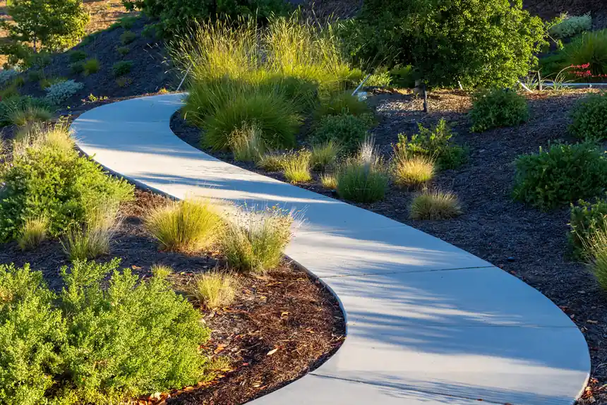 A winding concrete path through a lush green garden with diverse plant life.
